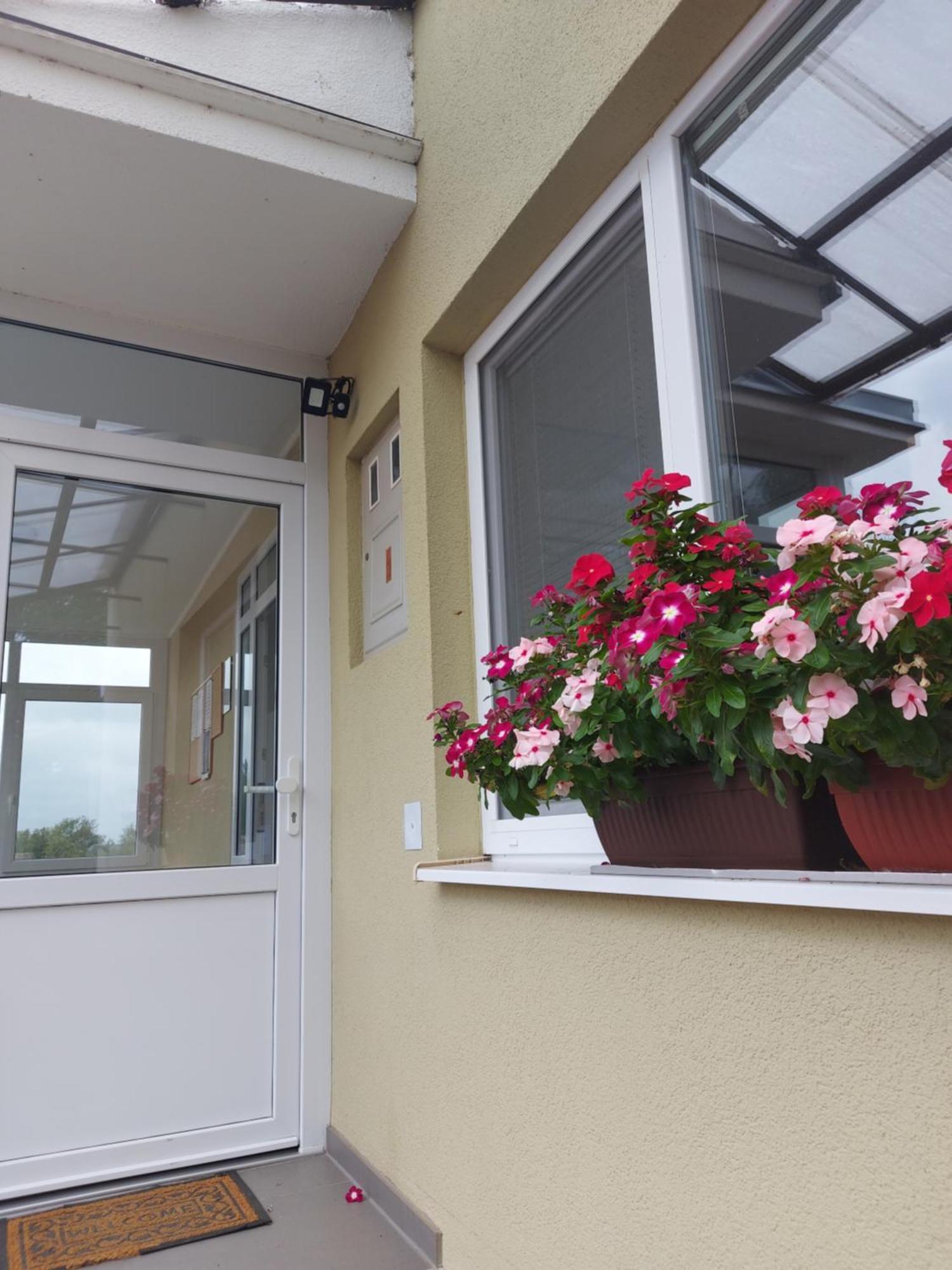 Apartman Kovac-Bilje Phòng bức ảnh